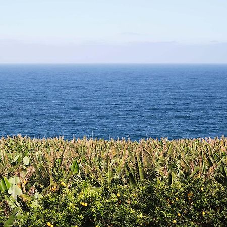 El Convento II Tranquilidad Y Vistas Unicas Apartman San Andres  Kültér fotó